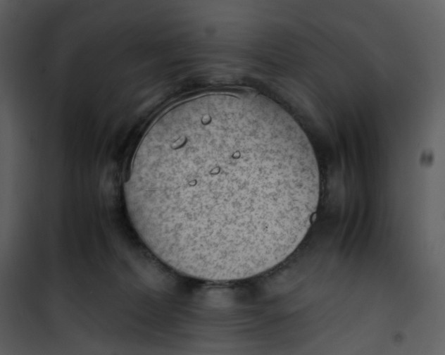 X0000101190228200807181518