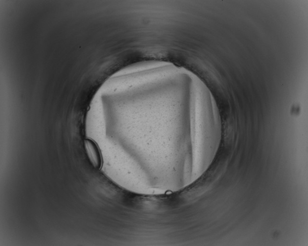 X0000101190229200807181518