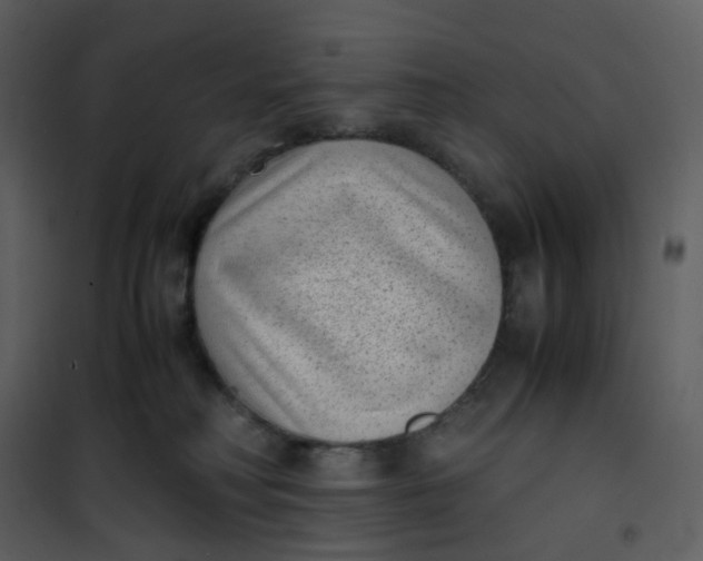 X0000101190230200807181518
