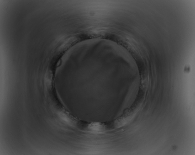 X0000101190231200807181518