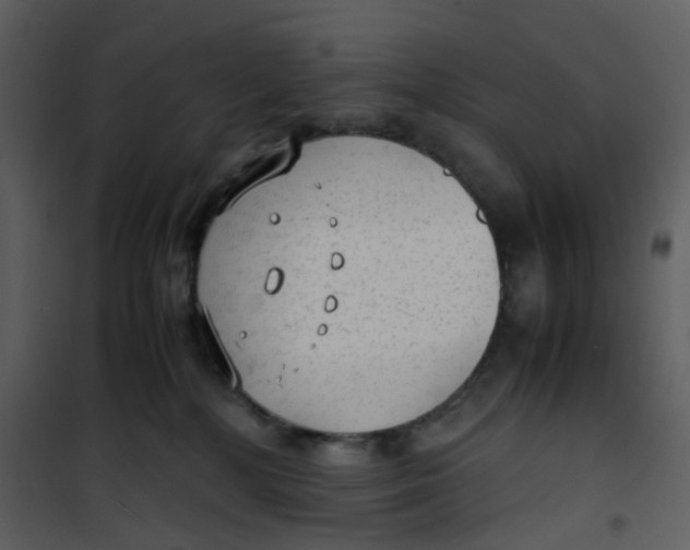 X0000101190232200807181518