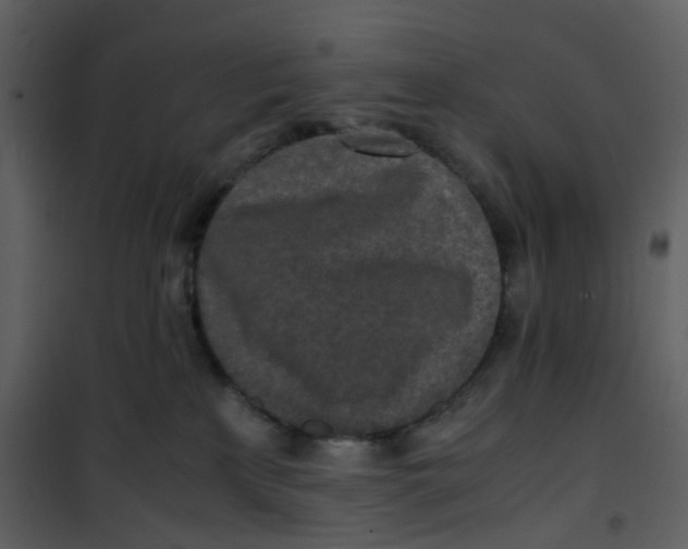 X0000101190233200807181518