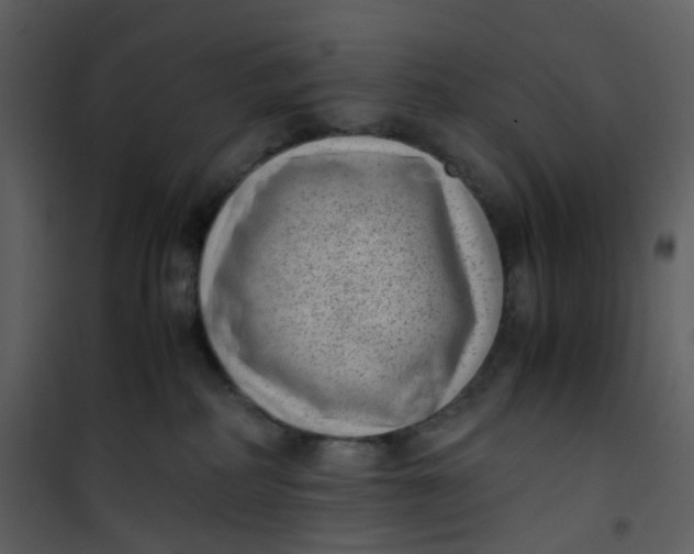 X0000101190234200807181518