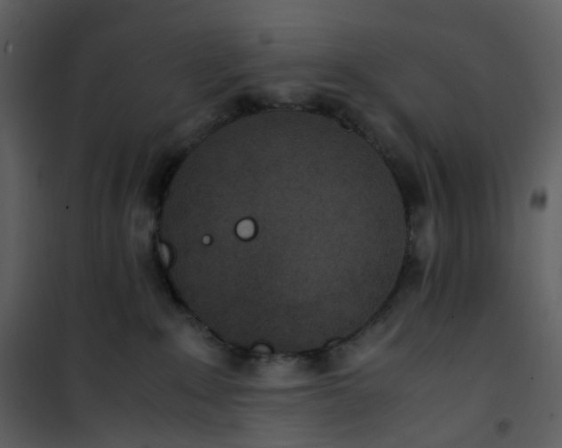 X0000101190235200807181518