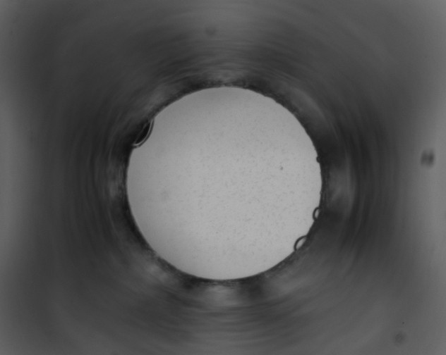X0000101190236200807181518