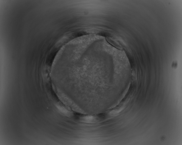 X0000101190237200807181518