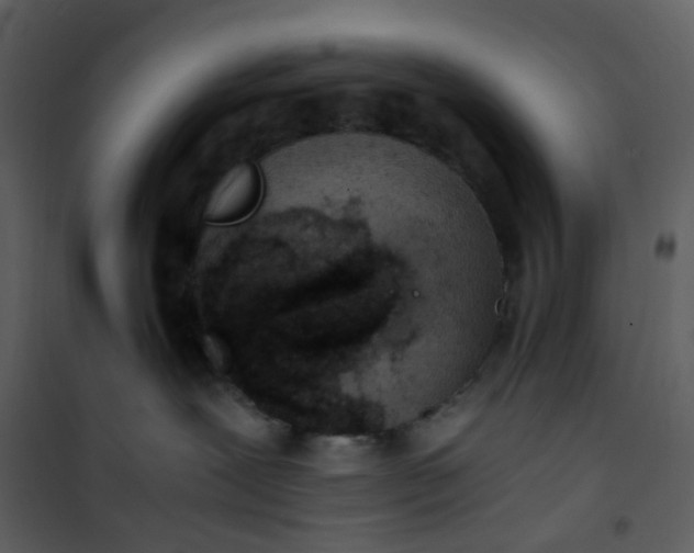 X0000101190239200807181518