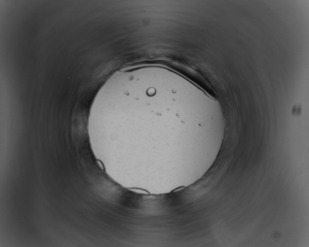 X0000101190240200807181518