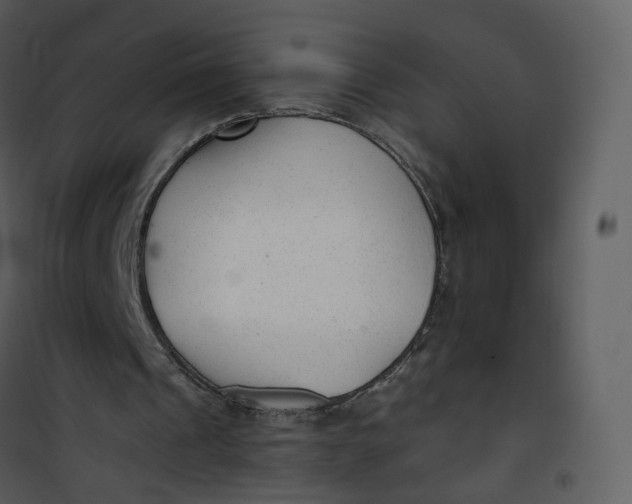 X0000101190241200807181517