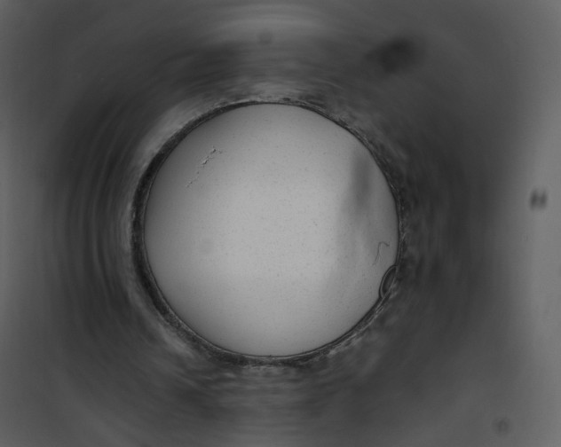X0000101190242200807181517