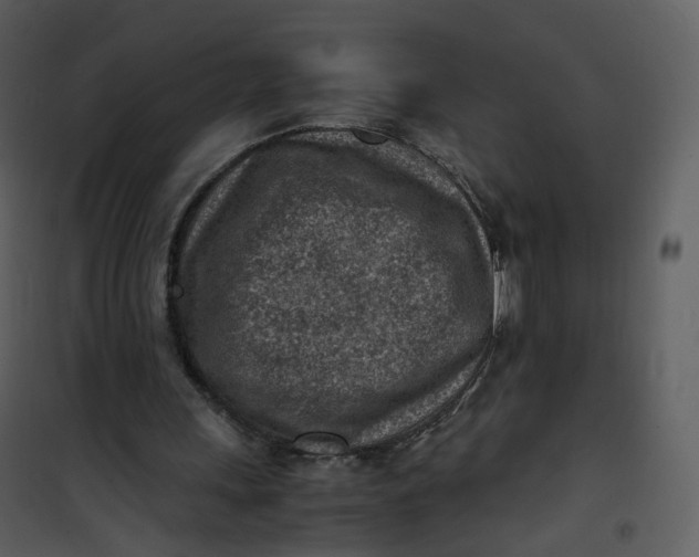 X0000101190243200807181517