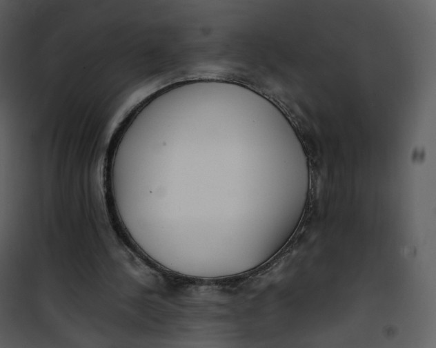 X0000101190244200807181517