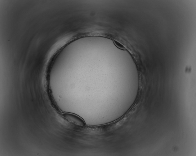 X0000101190245200807181518