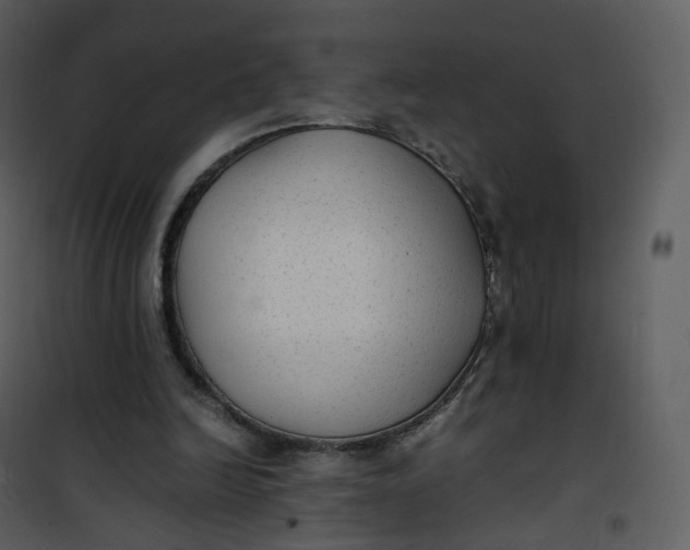 X0000101190246200807181518