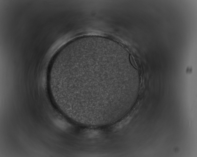 X0000101190247200807181518
