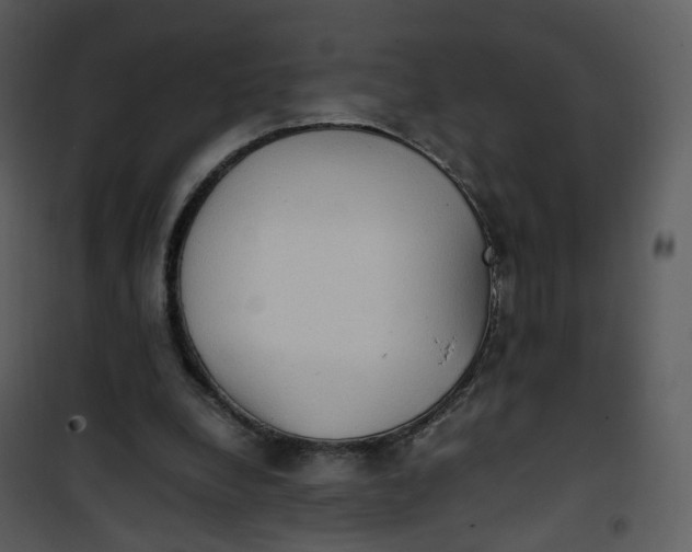 X0000101190248200807181518