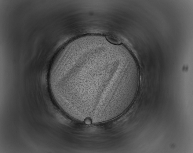 X0000101190249200807181518