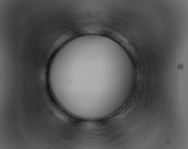 X0000101190250200807181518