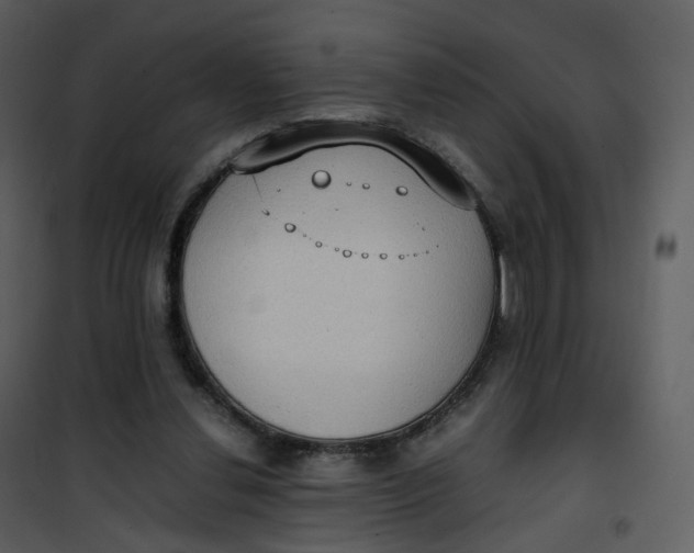 X0000101190252200807181518