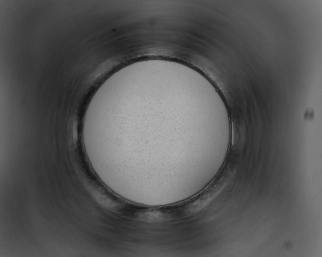 X0000101190253200807181518
