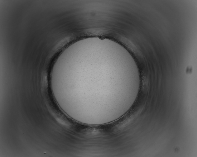 X0000101190254200807181518