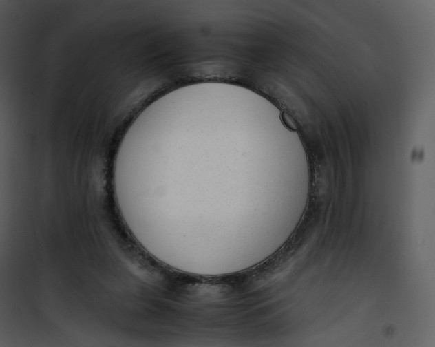 X0000101190255200807181518