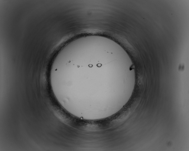 X0000101190256200807181518