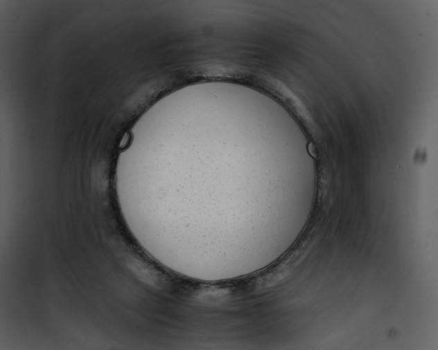 X0000101190257200807181518