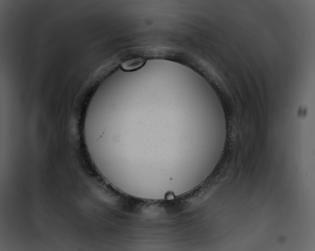 X0000101190258200807181518