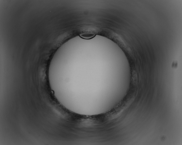 X0000101190259200807181518