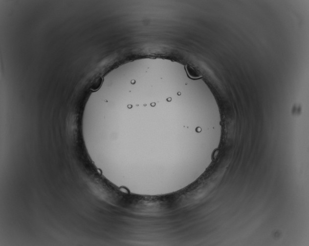 X0000101190260200807181518
