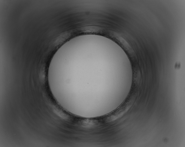 X0000101190261200807181518