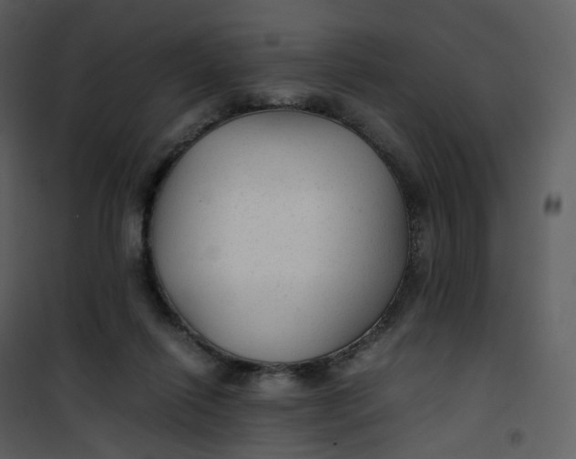 X0000101190262200807181518