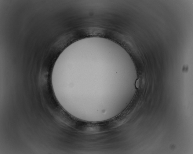 X0000101190263200807181518