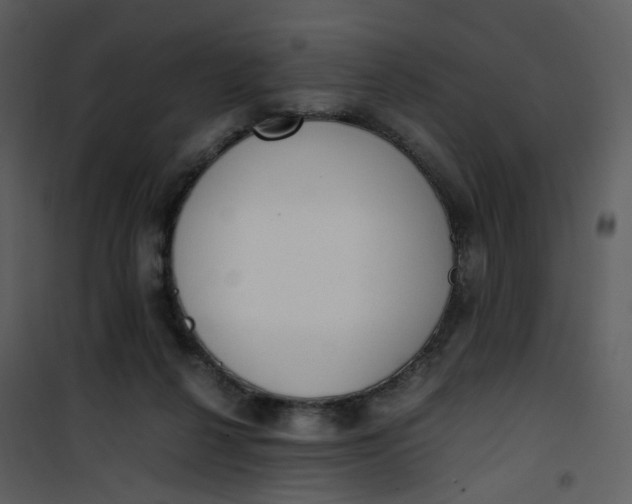 X0000101190264200807181518