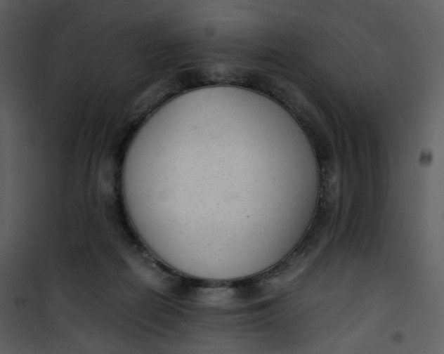 X0000101190266200807181518