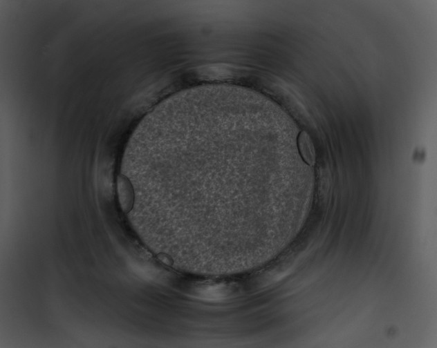 X0000101190267200807181518