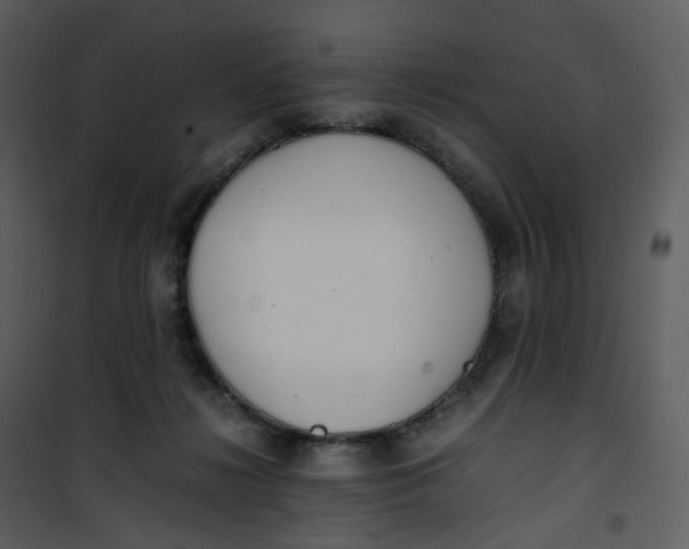 X0000101190268200807181518