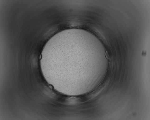 X0000101190269200807181518