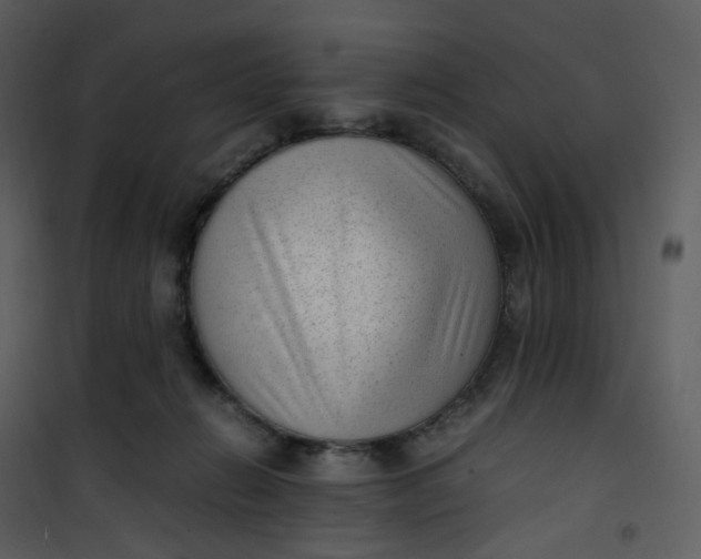 X0000101190270200807181518