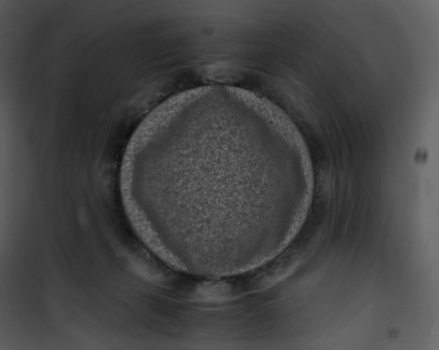 X0000101190271200807181518