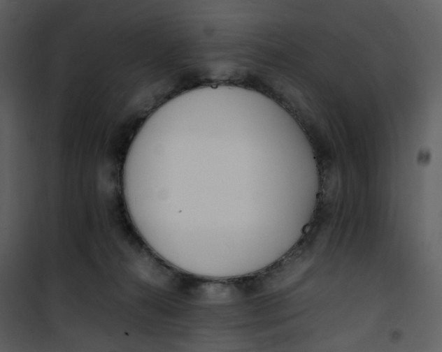 X0000101190272200807181518