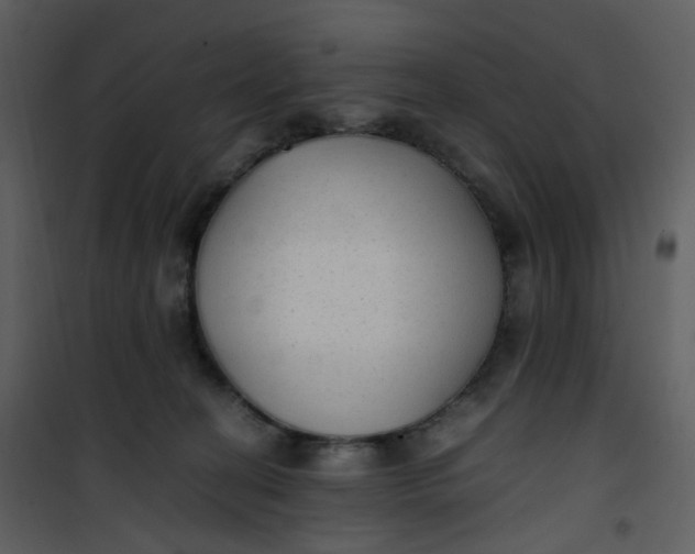 X0000101190274200807181518