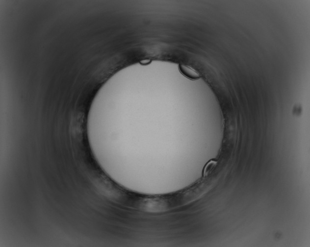 X0000101190275200807181518