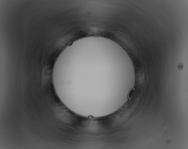 X0000101190276200807181518