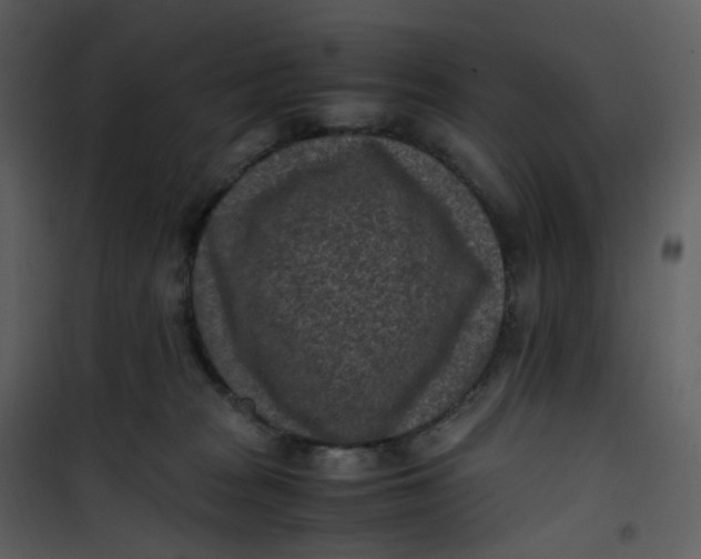 X0000101190277200807181518
