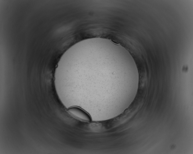 X0000101190279200807181518