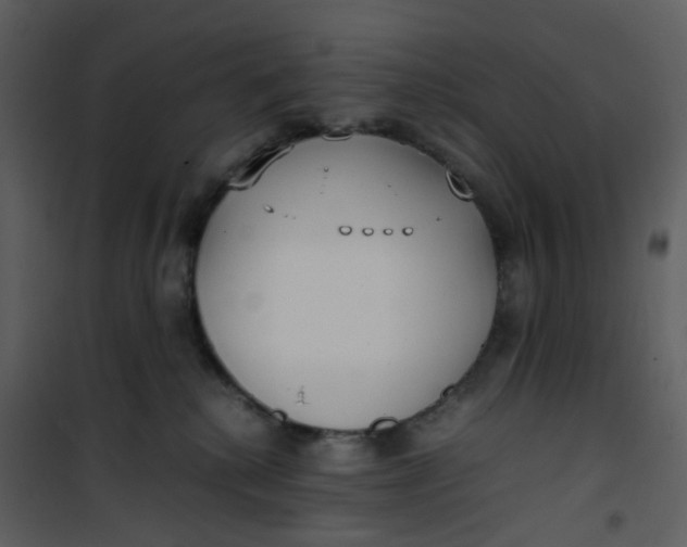 X0000101190280200807181518