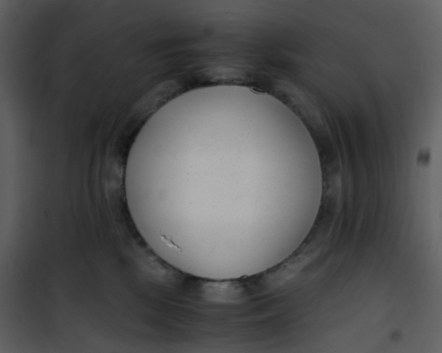 X0000101190281200807181518