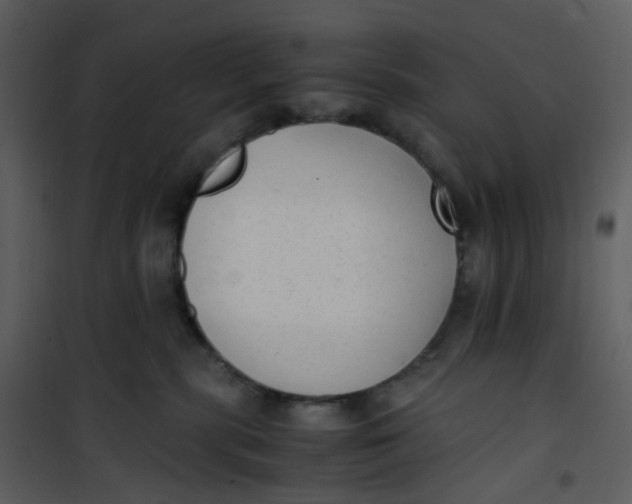 X0000101190283200807181518